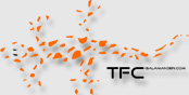 TFC-Salamander Logo